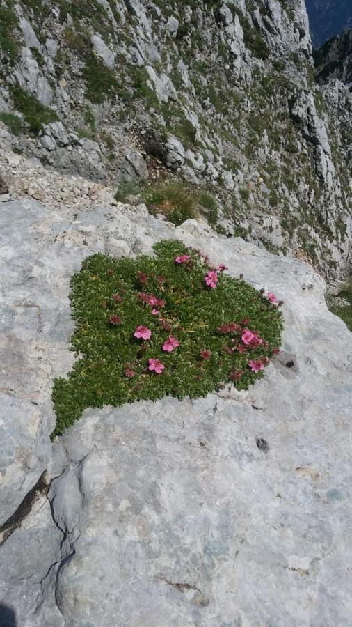 Huatscher Camporosso  ภายนอก รูปภาพ
